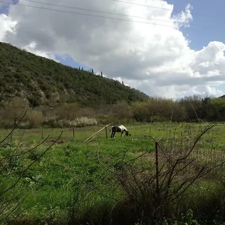 Villaconstantin